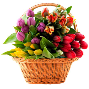 Цветы в корзинке "Микс тюльпанов"